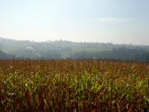  Fernblick nach Bad Griesbach 